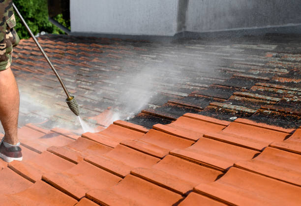 Best House Pressure Washing  in Dacula, GA