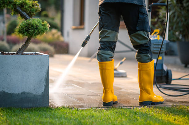 Best Roof Pressure Washing  in Dacula, GA